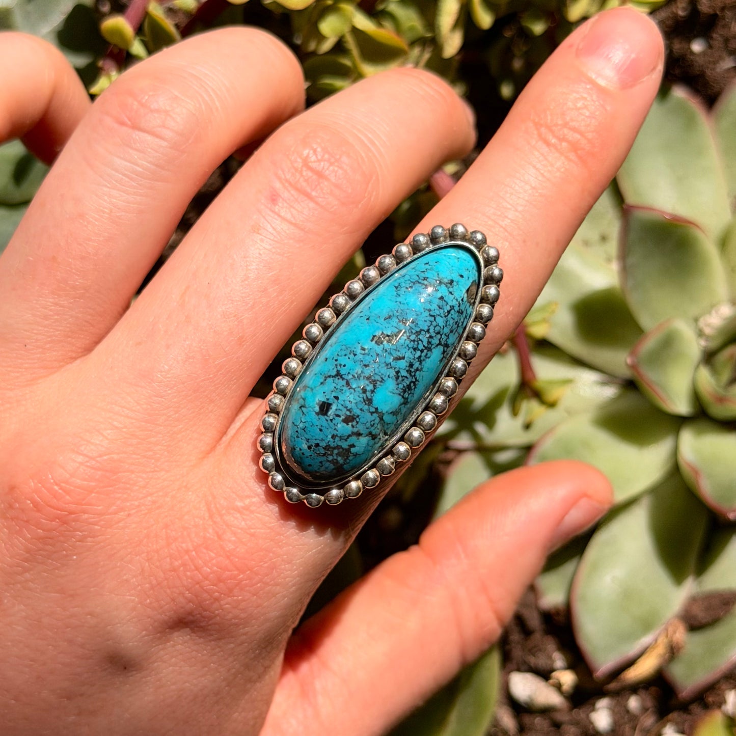 Hand wearing a turquoise stone ring with silver border against a succulent plant background
