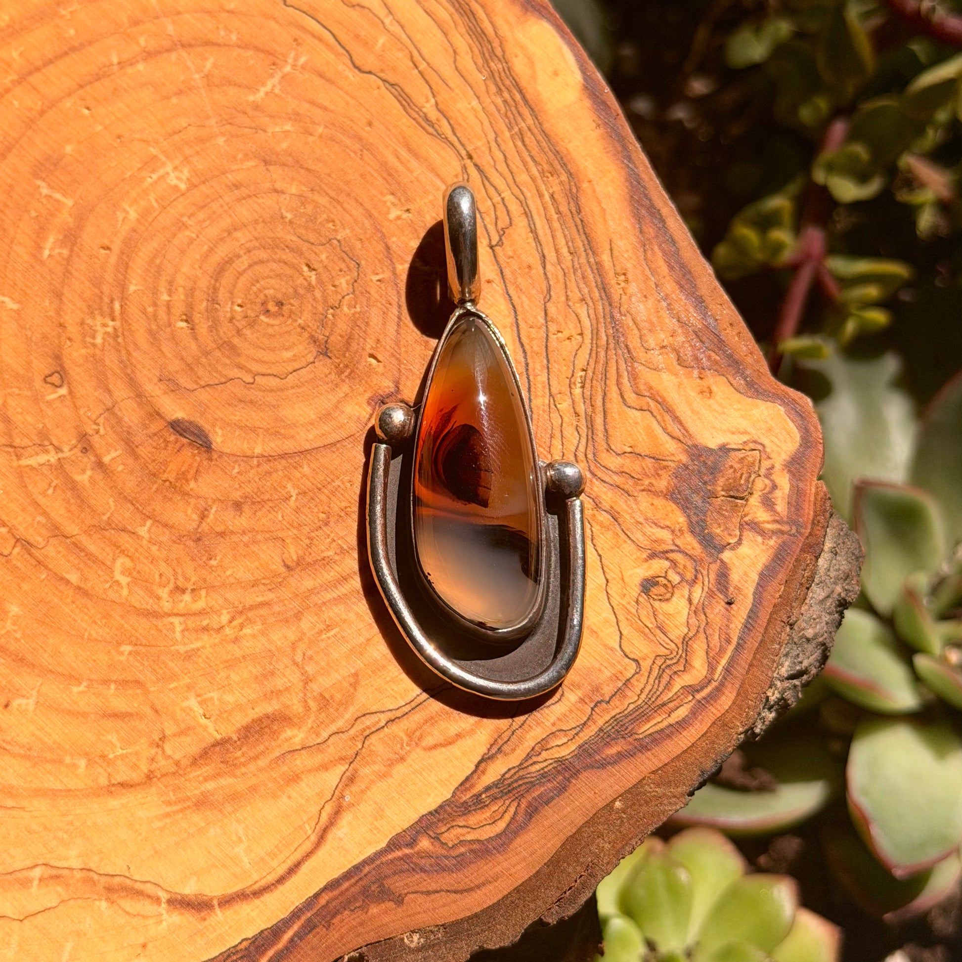 Amber pendant on a silver chain against a wooden background with plants.