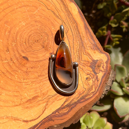 Amber pendant on a silver chain against a wooden background with plants.
