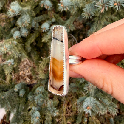 Hand holding a shell with a natural pattern against a green foliage background