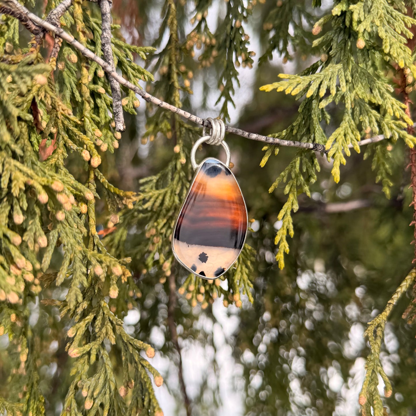 Teardrop-shaped pendant with tortoiseshell pattern hanging from a branch of a tree.