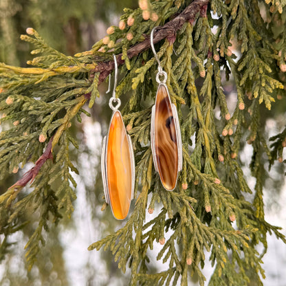 Pair of orange and brown oval earrings hanging on a branch with green leaves.
