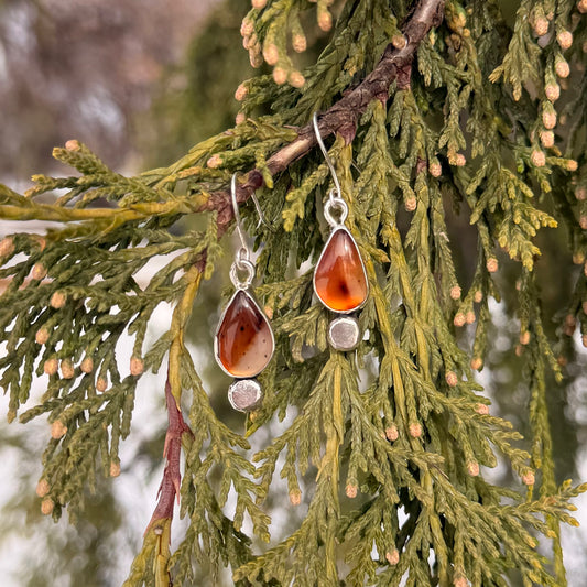 Teardrop-shaped amber earrings on a branch with green leaves