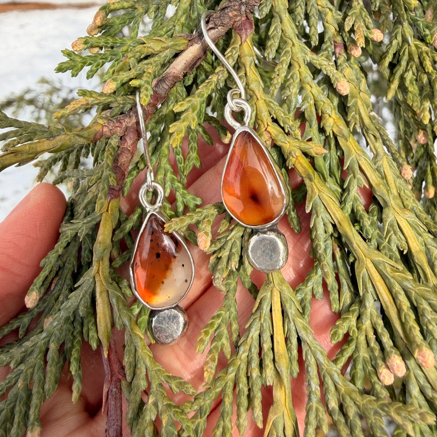 Teardrop-shaped amber earrings on a branch