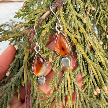 Teardrop-shaped amber earrings on a branch