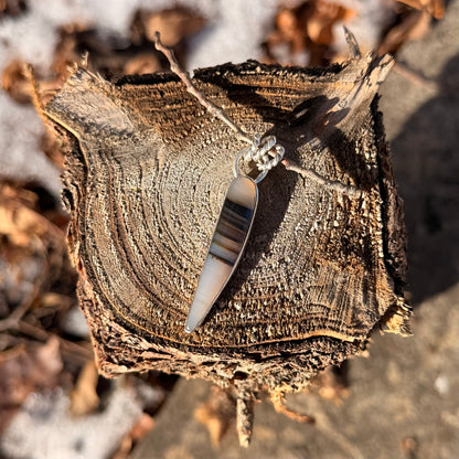 Silver pendant on a branch with a natural background